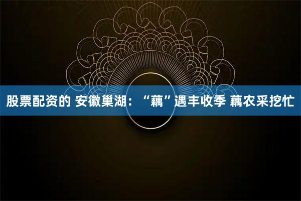 股票配资的 安徽巢湖：“藕”遇丰收季 藕农采挖忙