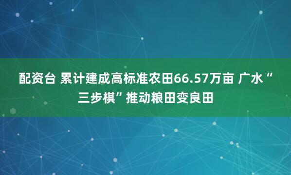配资台 累计建成高标准农田66.57万亩 广水“三步棋”推动粮田变良田