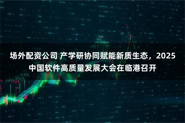 场外配资公司 产学研协同赋能新质生态，2025中国软件高质量发展大会在临港召开