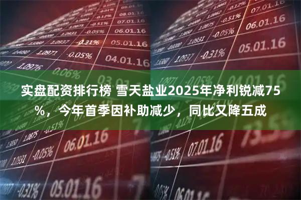 实盘配资排行榜 雪天盐业2025年净利锐减75%，今年首季因补助减少，同比又降五成