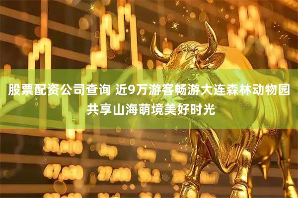 股票配资公司查询 近9万游客畅游大连森林动物园 共享山海萌境美好时光